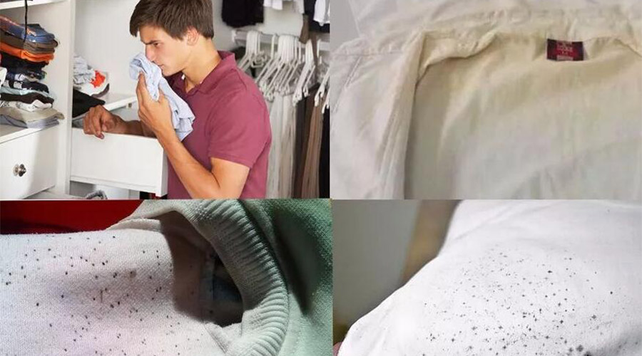 衣服護(hù)理小常識(shí)：潮濕天衣物有霉味不宜穿  該怎么辦？
