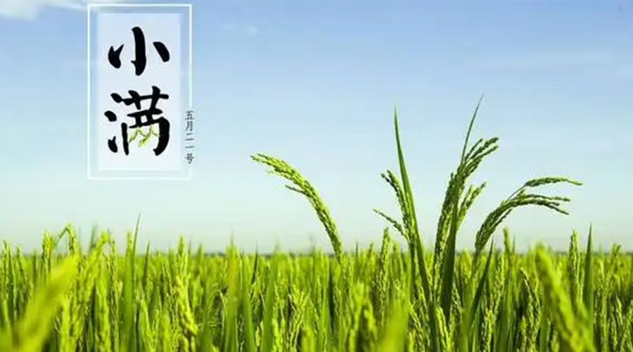 小滿時節(jié)！金環(huán)電器提醒大家要注意的事項