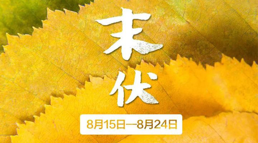 末伏時節(jié)！金環(huán)電器提醒你謹記這些注意事項