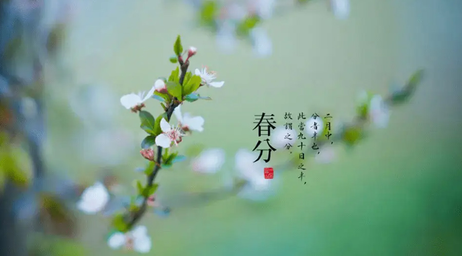 春分雨水多易生菌！金環(huán)電器提醒你衣物要注意處理