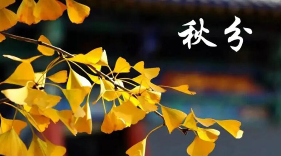 秋分時(shí)節(jié)！金環(huán)電器提醒大家要注意的事項(xiàng)